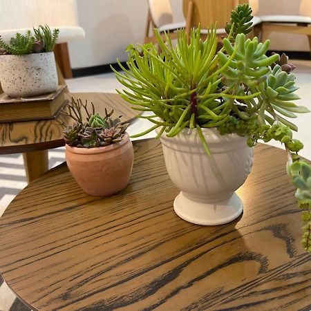 Apartamento Em Santa Teresa サンタ・テレサ エクステリア 写真
